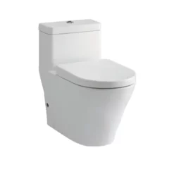 Bồn cầu CW166RB/TC384CVK/T53P100VR 1 khối kèm nắp đóng êm